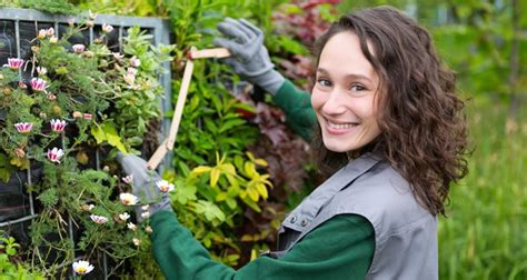 Gardener jobs glasgow  New gardener careers in Glasgow are added daily on SimplyHired
